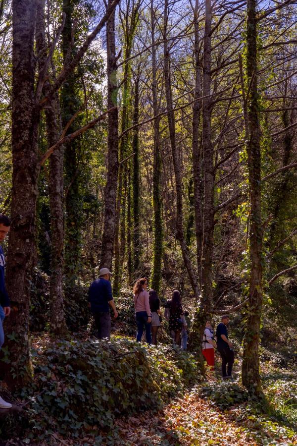 La Canada Del Valle Del Jerte Navaconcejo Dış mekan fotoğraf