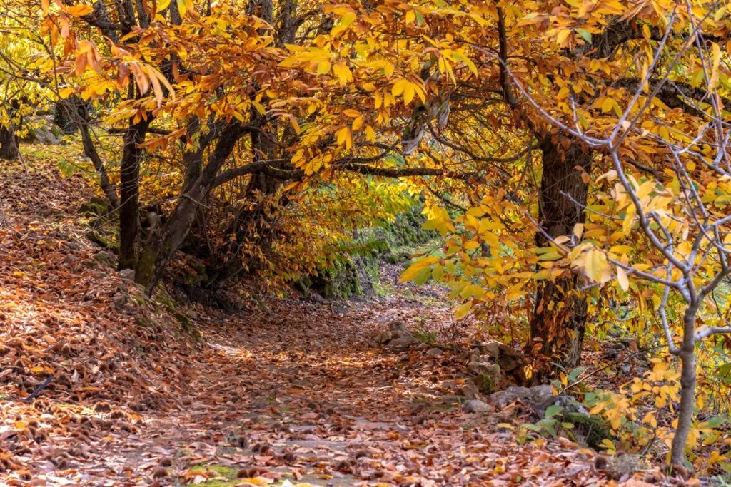 La Canada Del Valle Del Jerte Navaconcejo Dış mekan fotoğraf